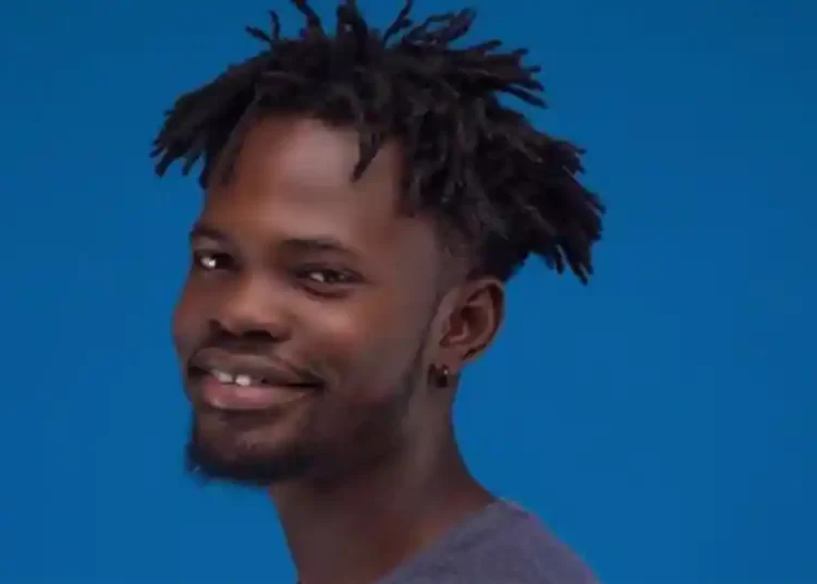 Ghanaian artist, Fameye