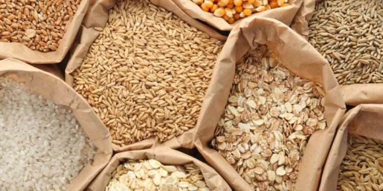 Food Commodity Prices Drop for 12th Straight Month 1 grains NEW AFRICA STOCK.ADOBE .COM e 1