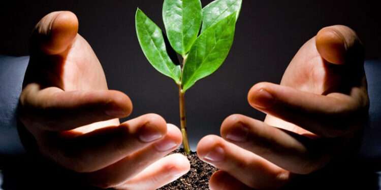 AVCA Report Shows Marginal Decline in Venture Capital Investments in 2022 1 venture capital funding
