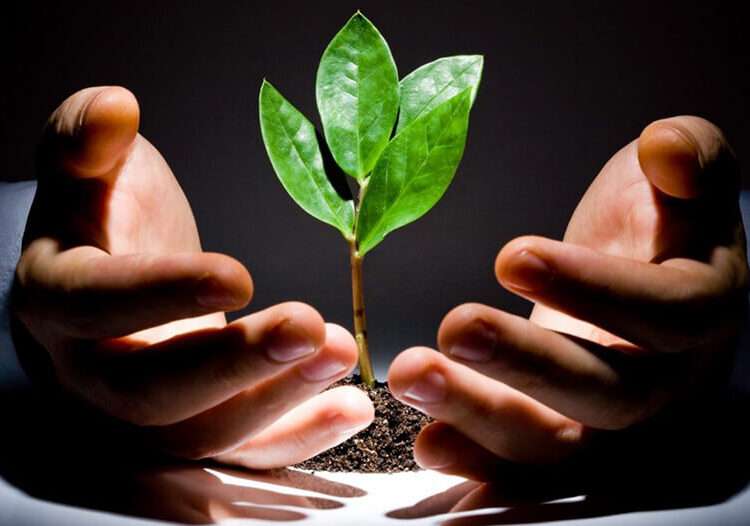 AVCA Report Shows Marginal Decline in Venture Capital Investments in 2022 1 venture capital funding