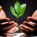 AVCA Report Shows Marginal Decline in Venture Capital Investments in 2022 13 venture capital funding