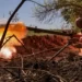 A Ukrainian soldier firing an anti-tank grenade launcher at a front line near Bakhmut (pictured on 3 May)