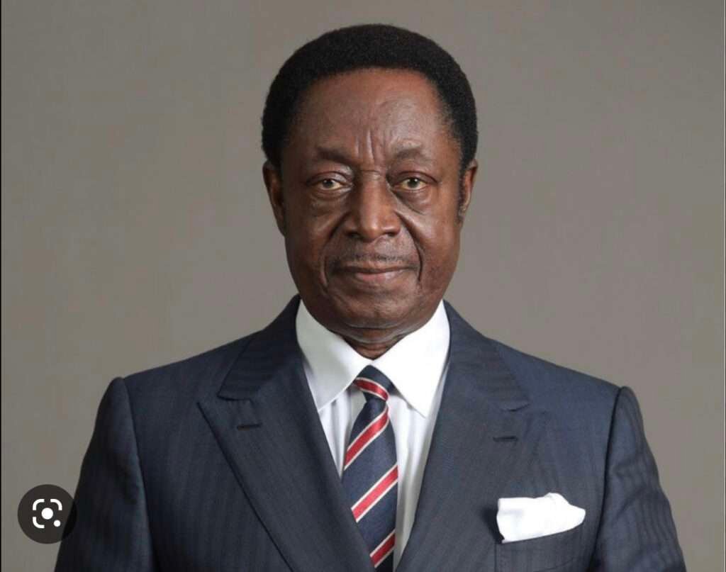 NDC Primaries: NDC Ignores Suggestions To Postpone Primaries By Duffuor 2 234FB826 CD20 489D 80A4 43E95077836E