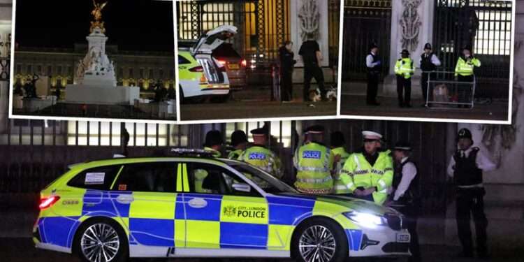 <strong>Man Arrested Outside Buckingham Palace</strong> 1 A man has been arrested after he approached the gates of Buckingham Palace and threw items “suspected to be shotgun cartridges” into the palace grounds, police say.