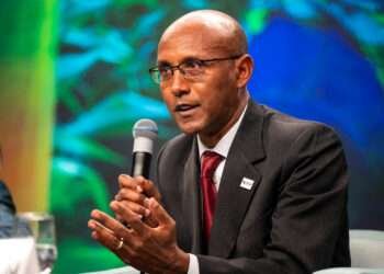 World Bank Describes African Economies Debt Outlook As 'Cloudy'