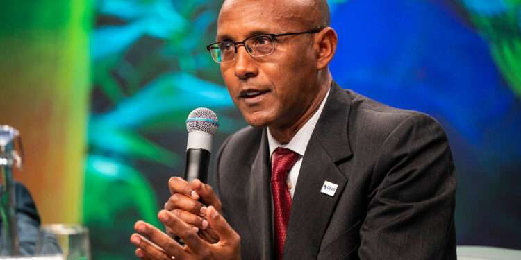 World Bank Describes African Economies Debt Outlook As 'Cloudy'