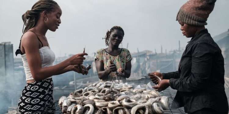 Women Can Play Vital Role in Addressing IUU Fishing in Ghana– Dr. Lamptey 1 file 20210419 13 1h0v7si