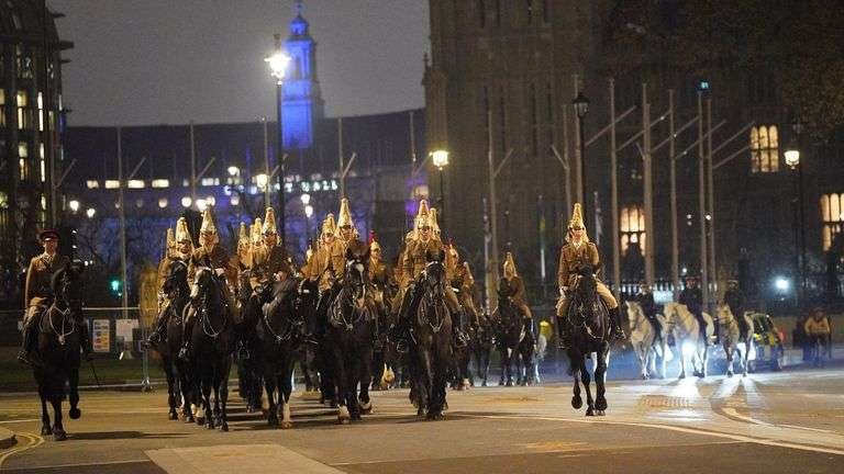 horses