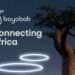 mtn globalconnect rebrands bayobab african digital connectivity
