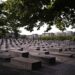 The morning light illuminate the Memorial to the Murdered Jews of Europe, or the Holocaust Memorial in Berlin, Germany, Thursday, June 15, 2023.