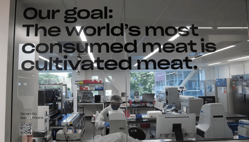 U.S Approves The Sale Of Chicken Made From Cultivated Cells 1 U.S Approves The Sale Of Chicken Made From Cultivated Cells