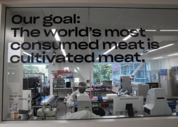 U.S Approves The Sale Of Chicken Made From Cultivated Cells