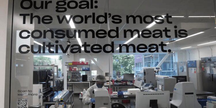 U.S Approves The Sale Of Chicken Made From Cultivated Cells 1 A scientist works in a cellular agriculture lab at Eat Just in Alameda, Calif., Wednesday, June 14, 2023.