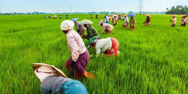 Agriculture