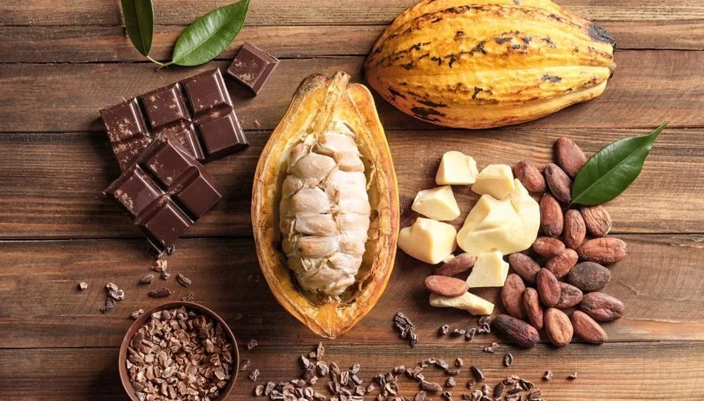 Ghana Set To Promote Cocoa Industry Through Hosting African Cocoa Exchange This Year