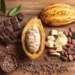 Ghana Set To Promote Cocoa Industry Through Hosting African Cocoa Exchange This Year 14 Ghana Set To Promote Cocoa Industry Through Hosting African Cocoa Exchange This Year