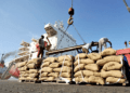 Cocoa freight charges fixed at five percent 1