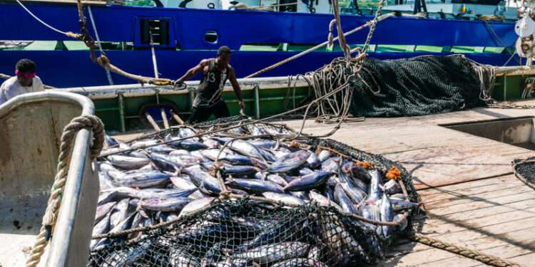 African workers of EU fishing vessels strike over poor salary and Poor working condition.