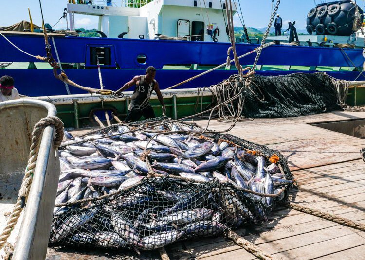 African Fishermen Strike Over Poor Salaries And Poor Working Conditions, Against EU Fishing Firms 1 African workers of EU fishing vessels strike over poor salary and Poor working condition.