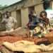 Cocoa Gold Rush, Farmers’ Empty Pockets: 2025 Cocoa Barometer Exposes Grim Reality Behind Record Prices