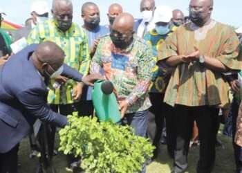 GCB Supports 'Green Ghana For Life' Initiative To Mark Its 70 years Anniversary