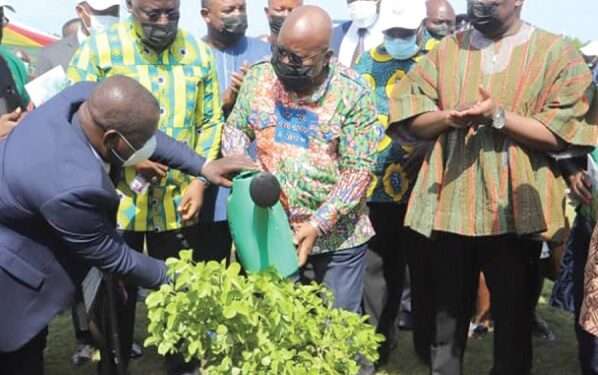 GCB Supports 'Green Ghana For Life' Initiative To Mark Its 70 years Anniversary