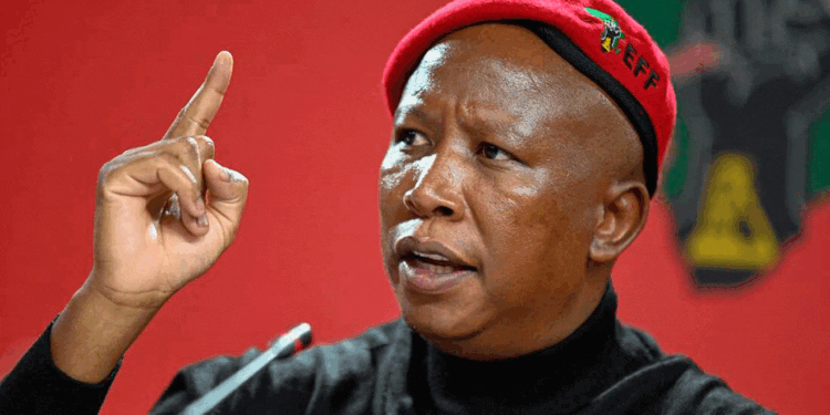 Julius Malema, Leader of the EFF Party.