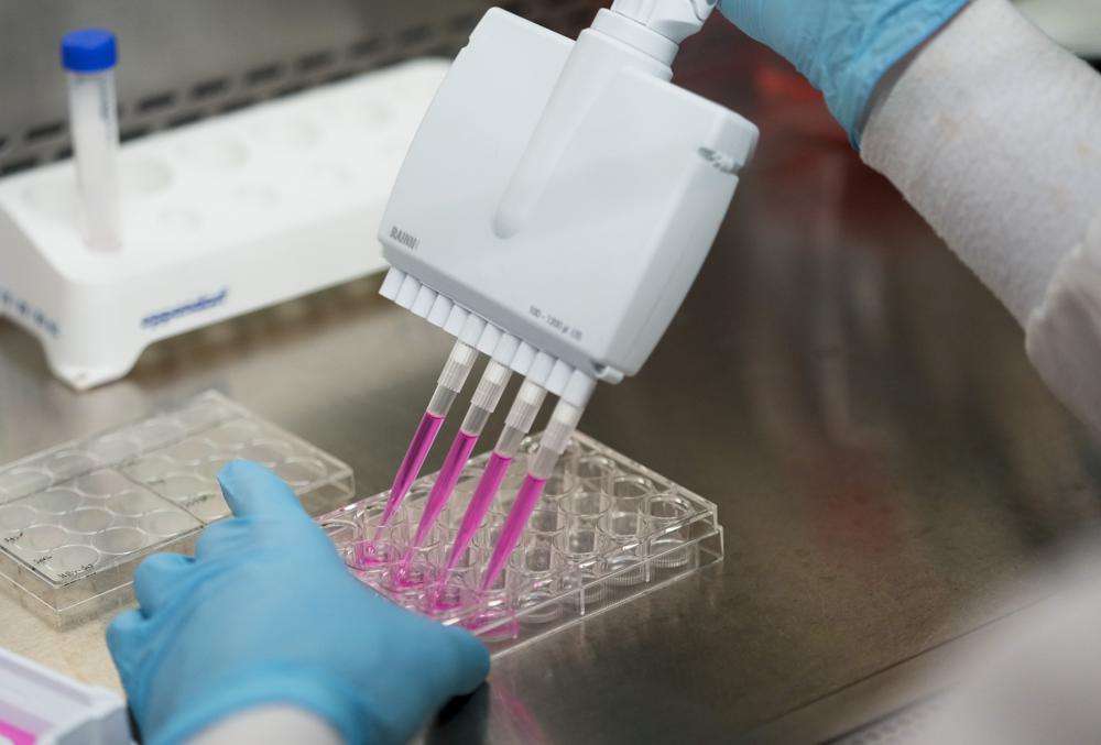 Research scientist uses a multichannel pipette to dissociate ovarian cancer cells with the enzyme trypsin at UW Medicines Cancer Vaccine Institute