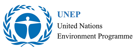 UNEP 2.0
