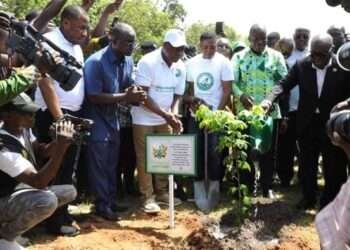 Green Ghana Day 2023: A Day Of Hope For Climate Action- Akufo-Addo 8 President Akufo-Addo.