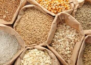 Global Food Prices Trend Downward to a Two-Year Low in May