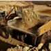Endeavour Sells Non-Core Burkina Faso Gold Mines for $300m 13 49593643