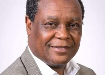 Regional director for the Education International Africa, Denise Sinyolo.