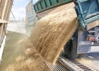 EU Conveys Meeting Over Black Sea Deal-Collapse 6 EU Agric Ministers to meet over Ukraine Grain Export.