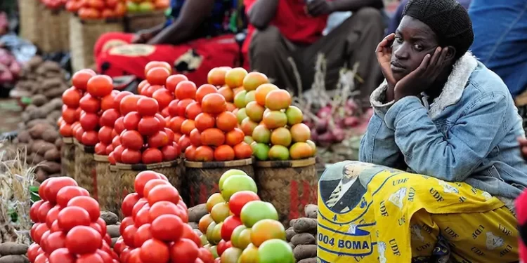 PFAG Warns of Rise in Food Prices Next Year if Gov’t Fails to Take Action