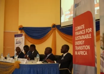 Africa Capable of Growing Its Economy through Renewable Energy- Access Bank MD
