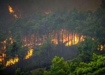 Wild fires set through the bushes in Greece, as temperature continue to worsen.
