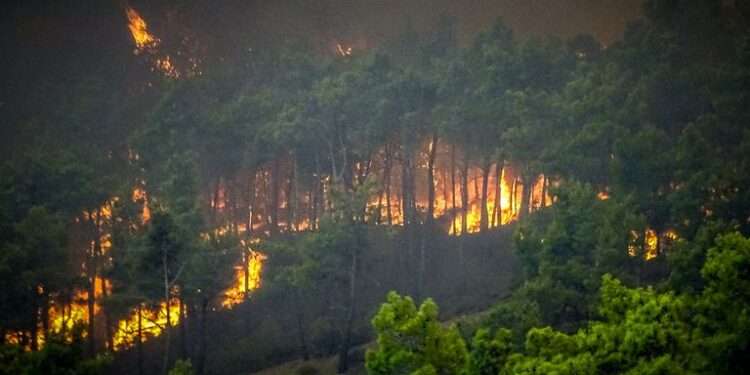 Wild fires set through the bushes in Greece, as temperature continue to worsen.