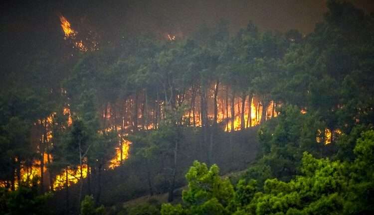 Wild fires set through the bushes in Greece, as temperature continue to worsen.
