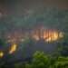 Wild fires set through the bushes in Greece, as temperature continue to worsen.