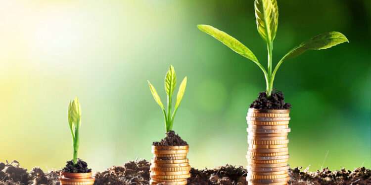 coins growing in soil economic growth