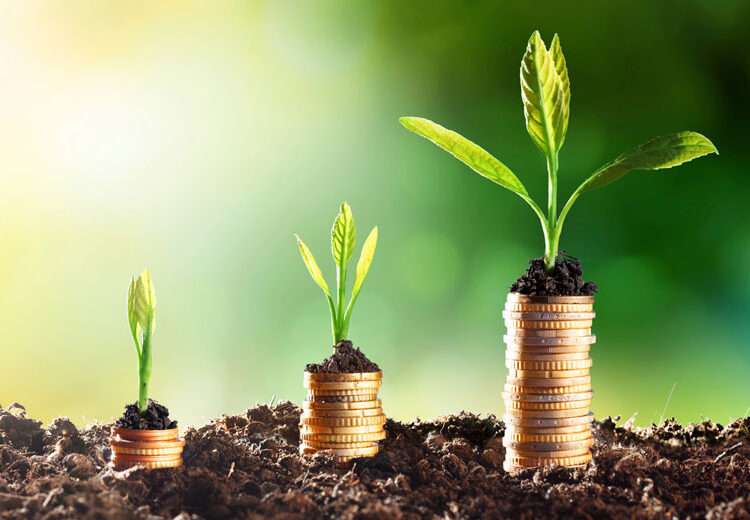Where is Ghana and Africa As Global Real GDP Improves with Weak Upturn Amid Downside Risks? 1 coins growing in soil economic growth