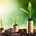 coins growing in soil economic growth