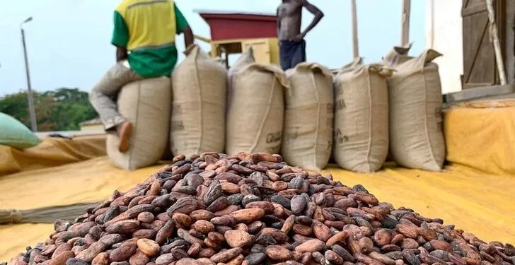 Ghana Set to Raise Cocoa Farmgate Price by Nearly 45%: A Strategic Move Amid Global Cocoa Deficits