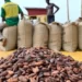 Ghana Set to Raise Cocoa Farmgate Price by Nearly 45%: A Strategic Move Amid Global Cocoa Deficits