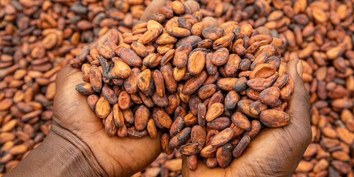 Ghana’s Cocoa Bill Exchange Programme Witnesses Massive Participation Rate of More than 90% 1 Ghana’s Cocoa Bill Exchange Programme Witnesses Massive Participation Rate of More than 90%