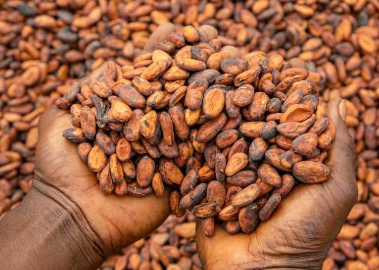 Ghana’s Cocoa Bill Exchange Programme Witnesses Massive Participation Rate of More than 90%