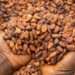 Ghana’s Cocoa Bill Exchange Programme Witnesses Massive Participation Rate of More than 90% 12 Ghana’s Cocoa Bill Exchange Programme Witnesses Massive Participation Rate of More than 90%