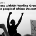 Declare second International Decade for People of African Descent, Right experts plead.