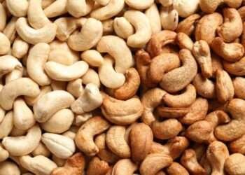 Director of Department of Agriculture Calls on Cashew Farmers to Focus on Quality and Processing to Boost Export Earnings 2 Director of Department of Agriculture Calls on Cashew Farmers to Focus on Quality and Processing to Boost Export Earnings
